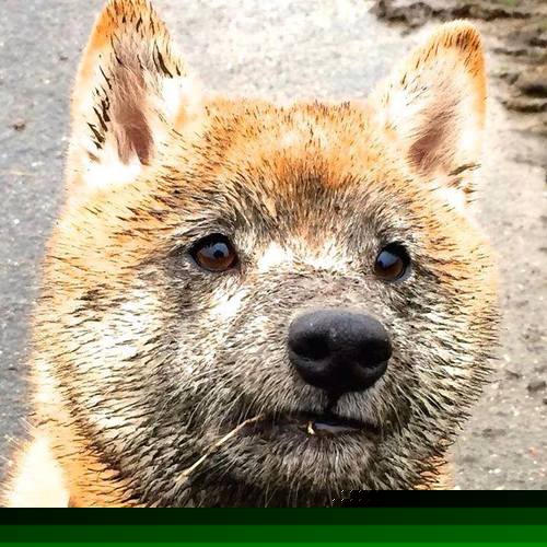 kaiyun中国官方网站-_红土之王归来：塞维利亚国际红土公开赛激烈角逐_，红土赛事有哪些