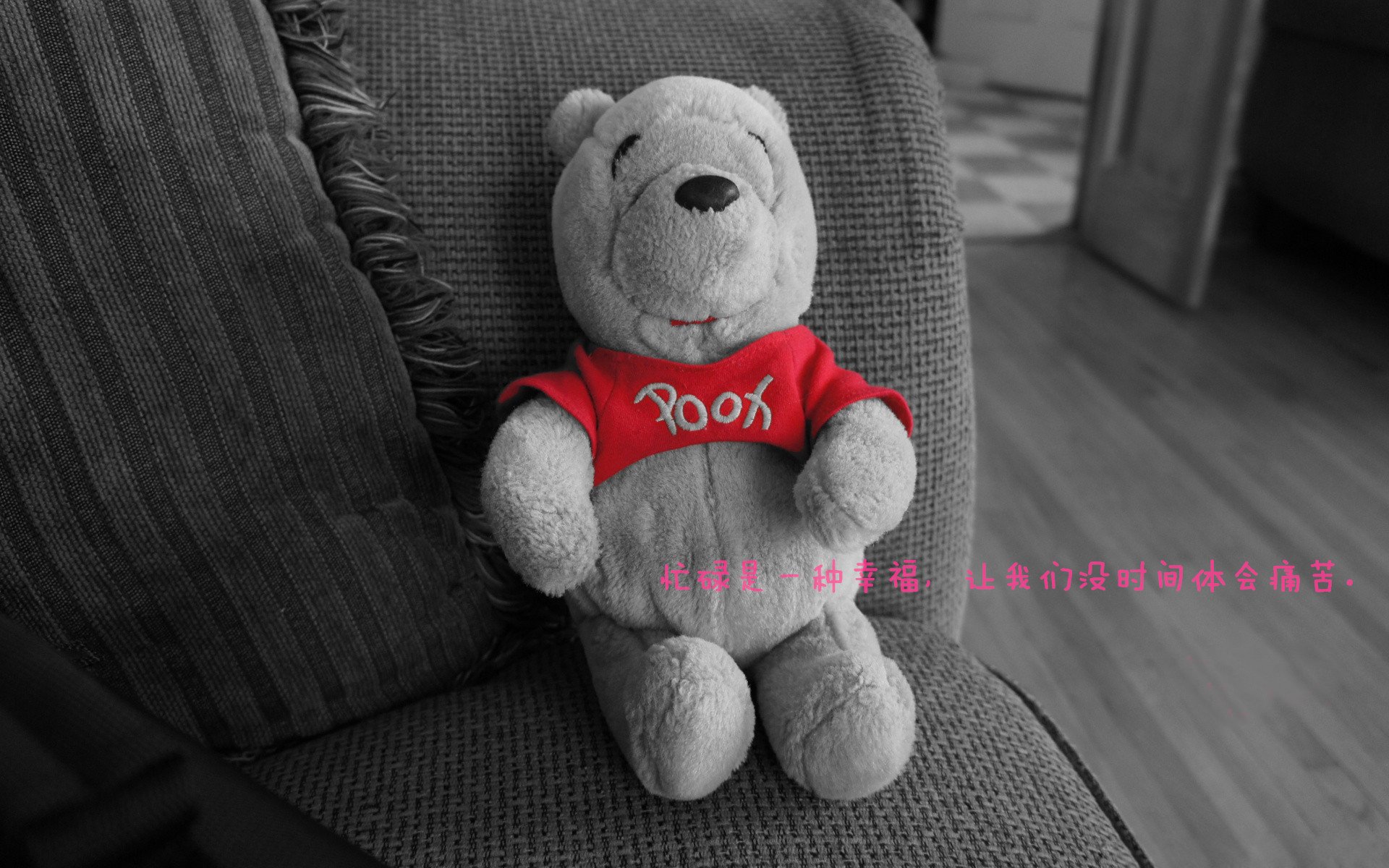 kaiyun官方网站-“青少年足球比赛TV直播，吸引更多青少年关注”，青少年足球比赛直播软件