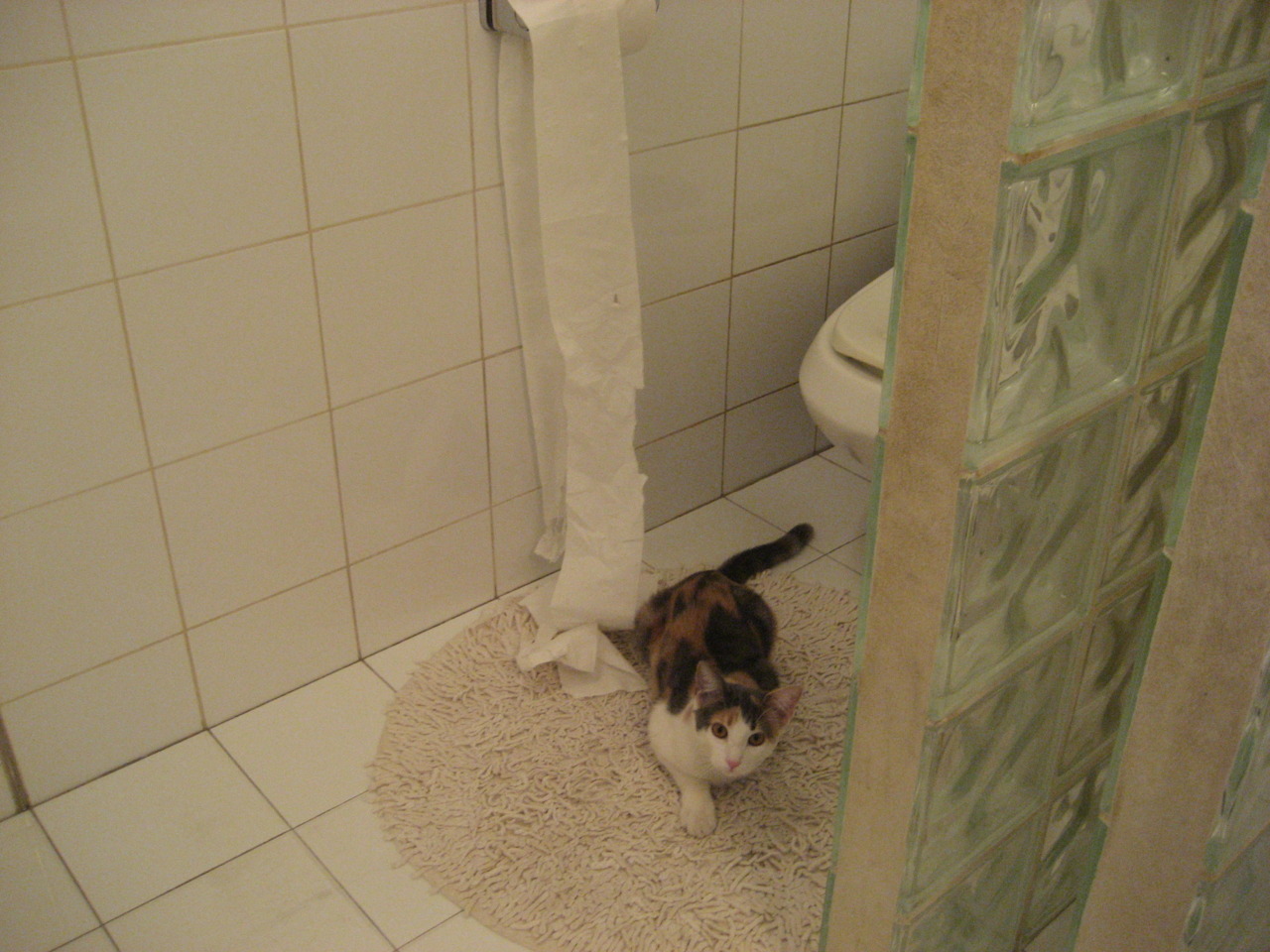 kaiyun官方入口登录-《王者荣耀亚洲线上总决赛,巅峰对决即将开启》,王者荣耀亚洲杯