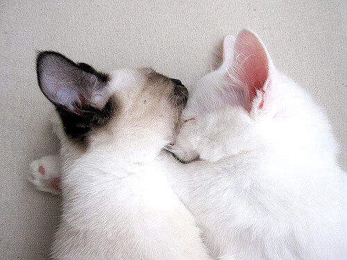 开云官方网页登录-【比赛回忆】难忘的冠军决战与经典瞬间，难忘的比赛优秀作文