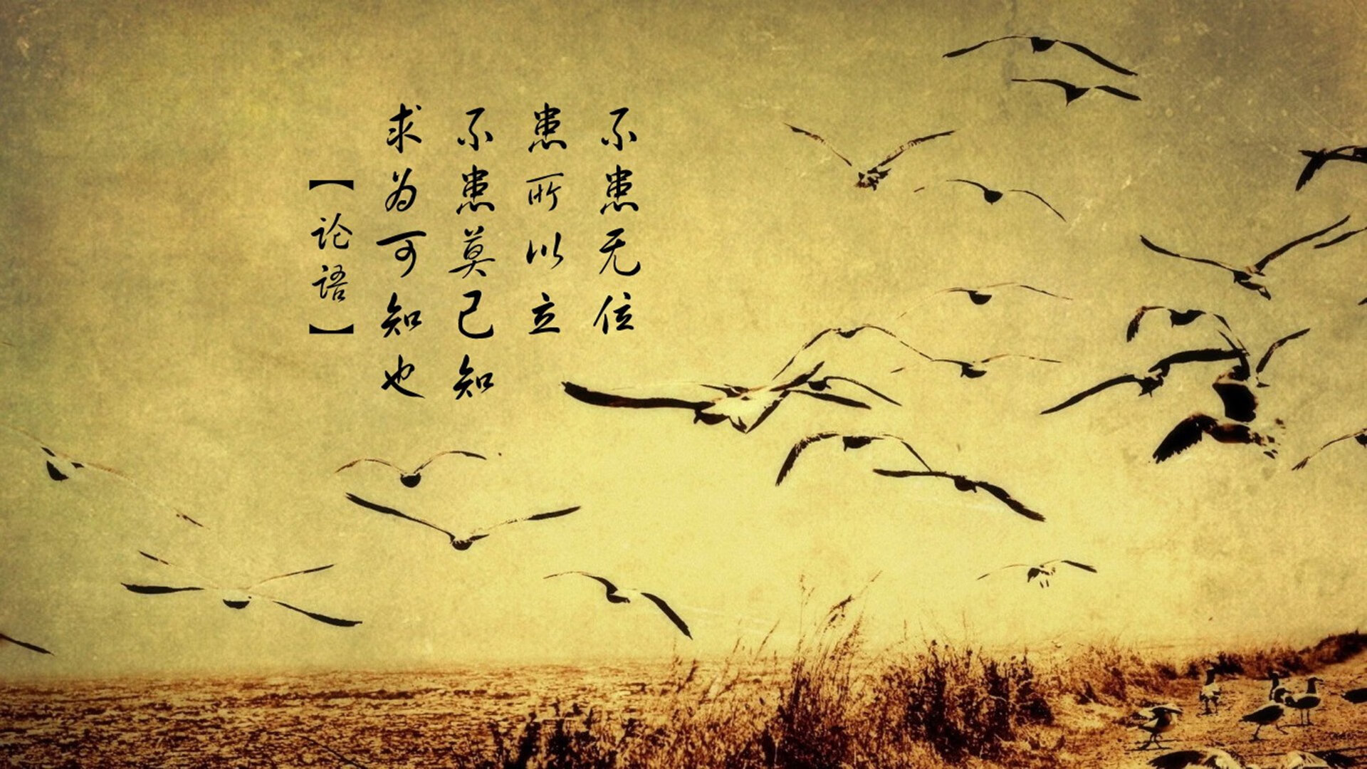 开云网页版登录入口-中国青训体系优化升级，培养适应未来需求的足球人才，中国足球青训体系现状