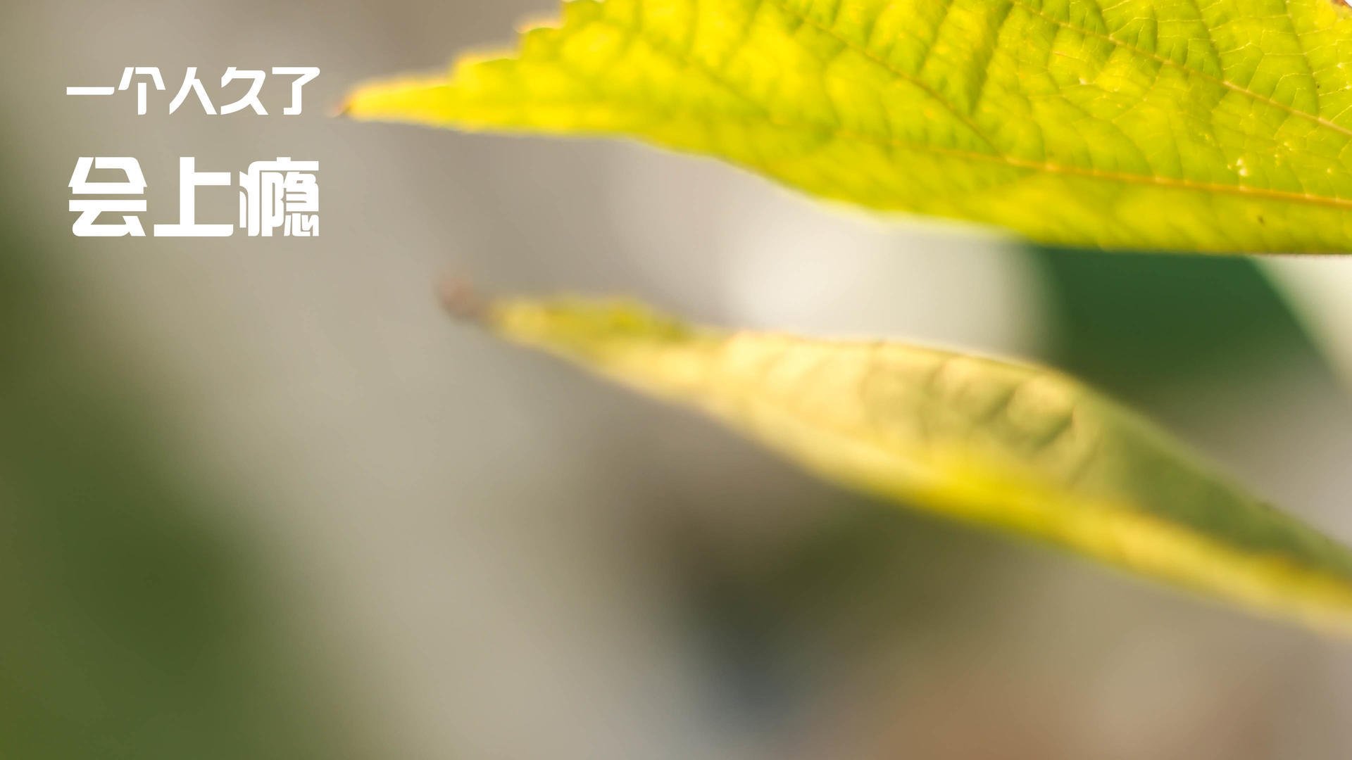 kaiyun中国官方网站-今年联盟助攻排行榜：你支持的球员上榜了吗？，lol助攻排行榜