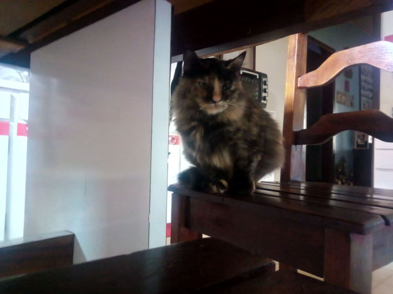 kaiyun中国官方网站-台球运动的国际排名变化，谁是新领头羊？，台球世界排名前十名