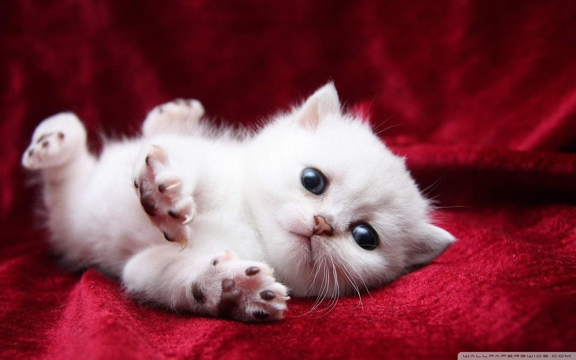 kaiyun官方入口登录-快船启用“空气净化地板”，提供球员最优呼吸环境