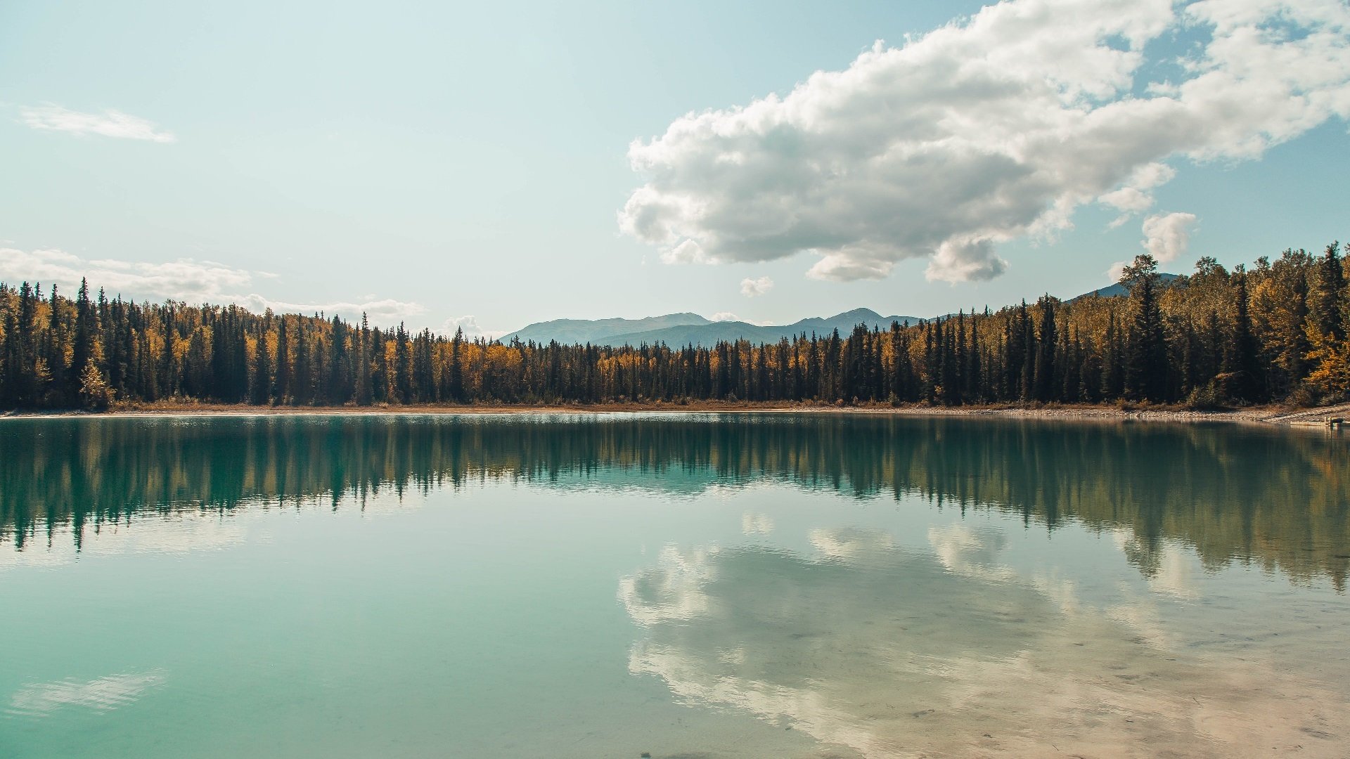 kaiyun体育综合-星光水上越野漂移，夜色中的极速角逐，水下星光灯