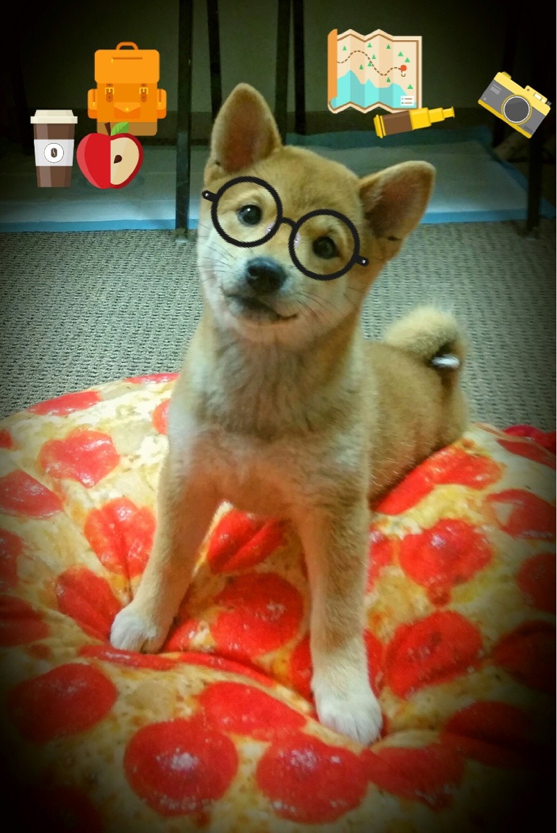 Kaiyun APP-法甲战术多变，球员分享心得，法甲有什么强队