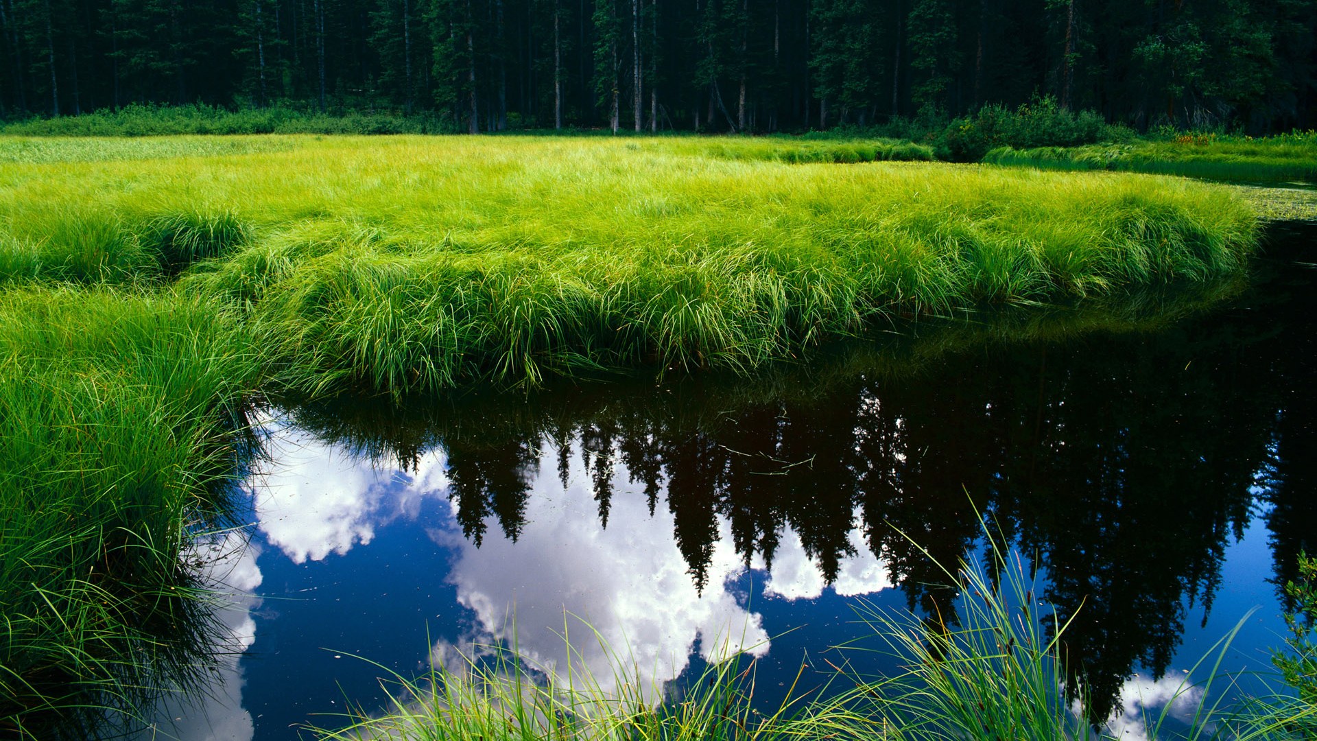 kaiyun开云·官方网站-电竞选手的职业道德：公平竞争与诚信比赛，电竞职业选手规矩