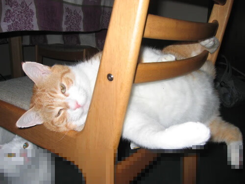 开云网页版-足球中的技术奇迹：知名运动员的冷门技能大揭秘，足球球员技能