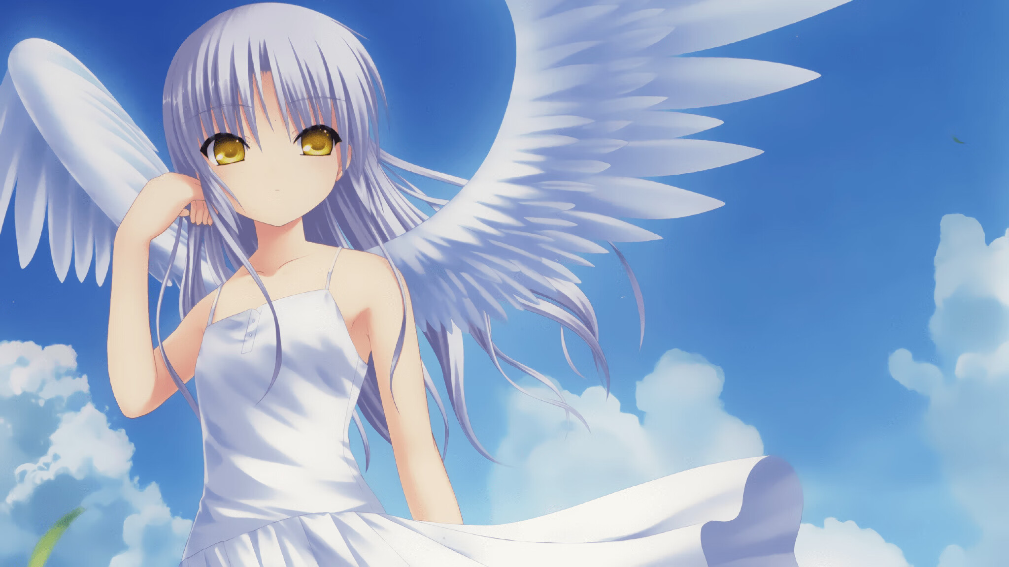 开云官网APP下载-青训内训体系全面启用，打造高素质人才培养新机制，青训训练营是什么