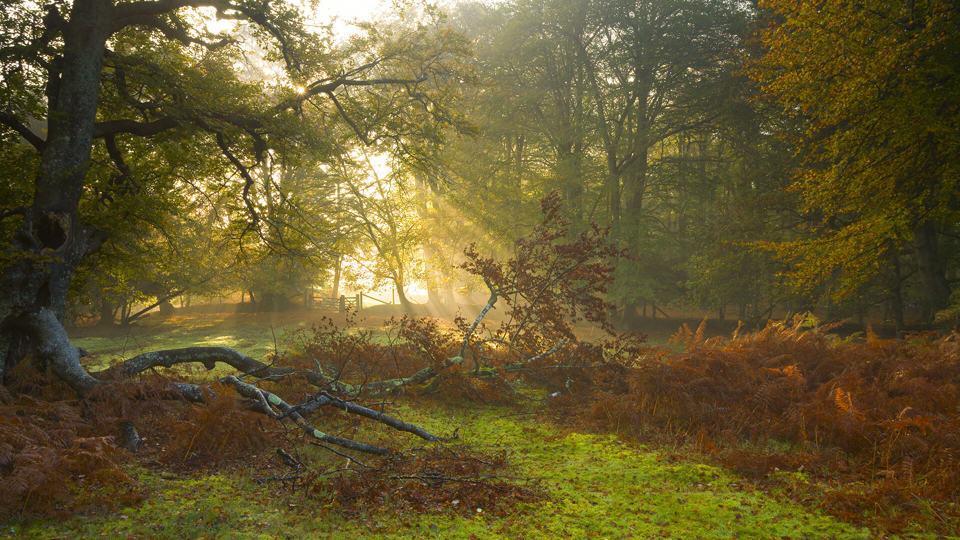 KAIYUNAPP-巴萨点球大战淘汰曼联,晋级欧冠四强,巴萨点球最多赛季