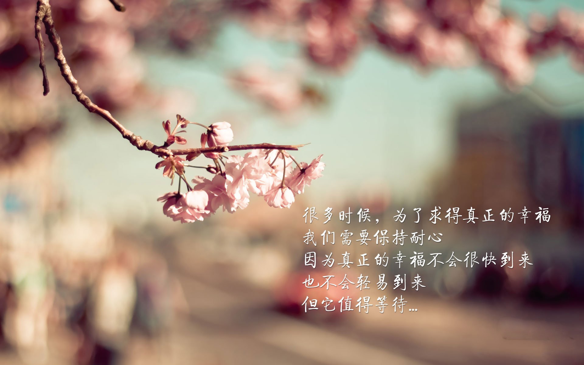 kaiyun开云·官方网站-全国青少年硬地排球锦标赛精彩纷呈，全国青少年硬地排球锦标赛精彩纷呈