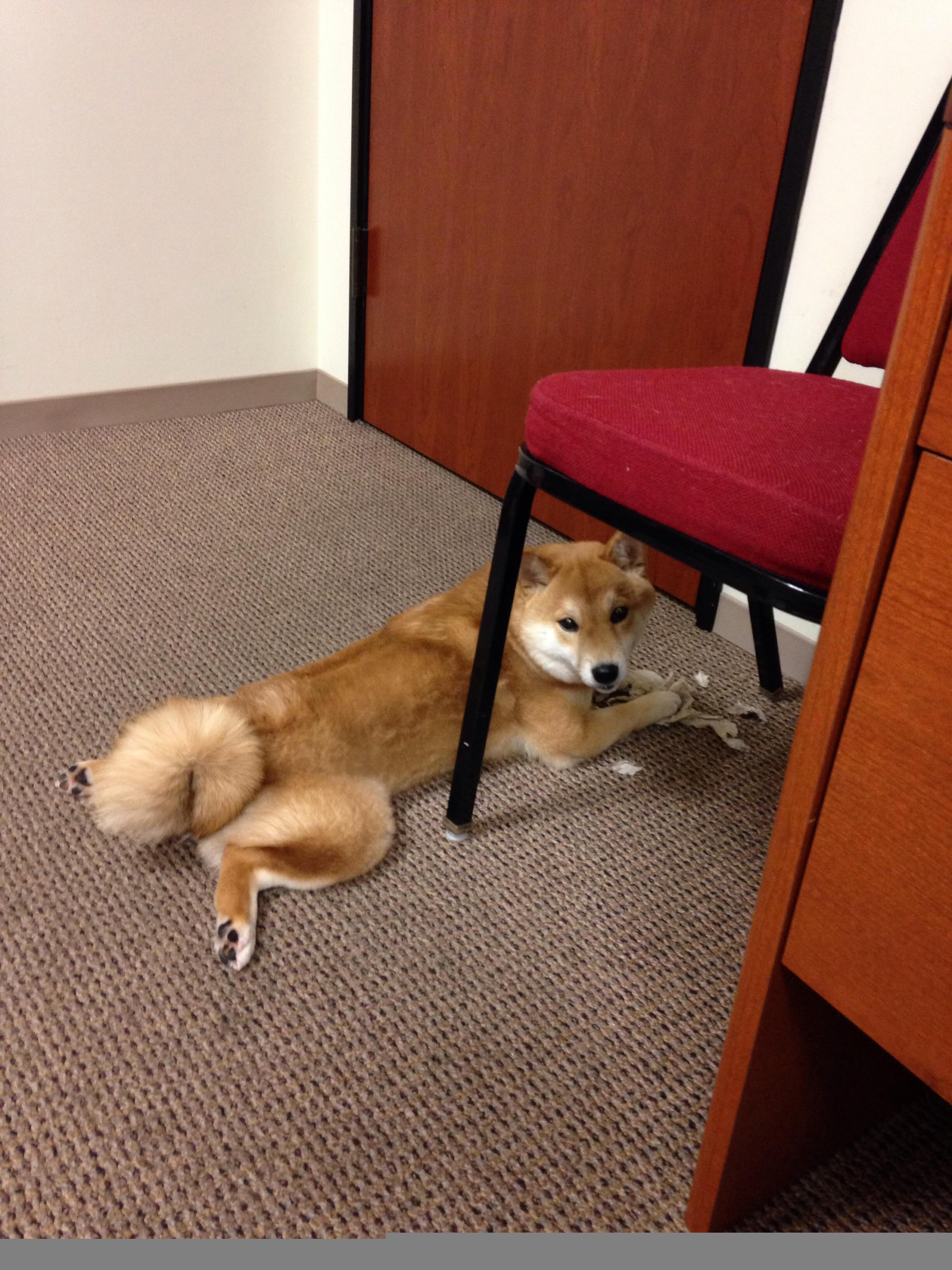 开云·体育官网-五大联赛球迷关注度最高的德比战盘点，足坛最火爆的德比