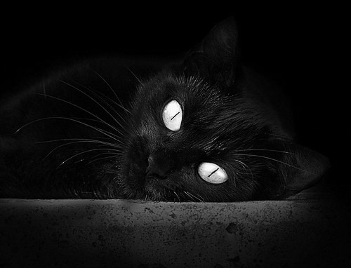 kaiyun登录入口-切尔西目标下季欧冠再创佳绩,切尔西今年欧冠