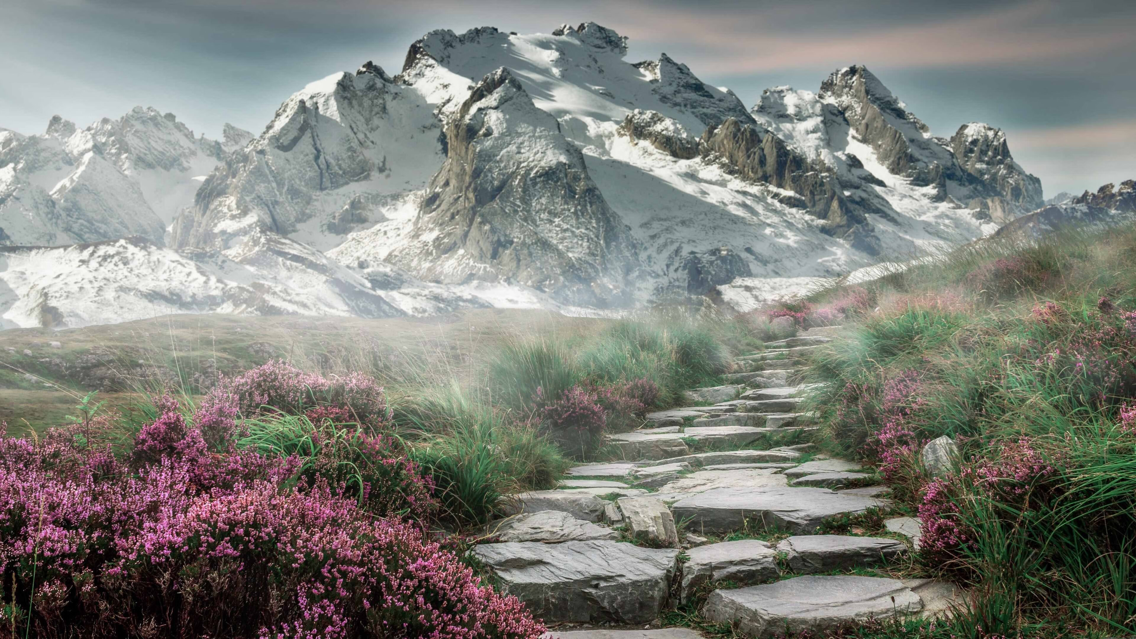 开云入口-教练选拔机制优化更注重长期稳定性，教练式管理优点缺点