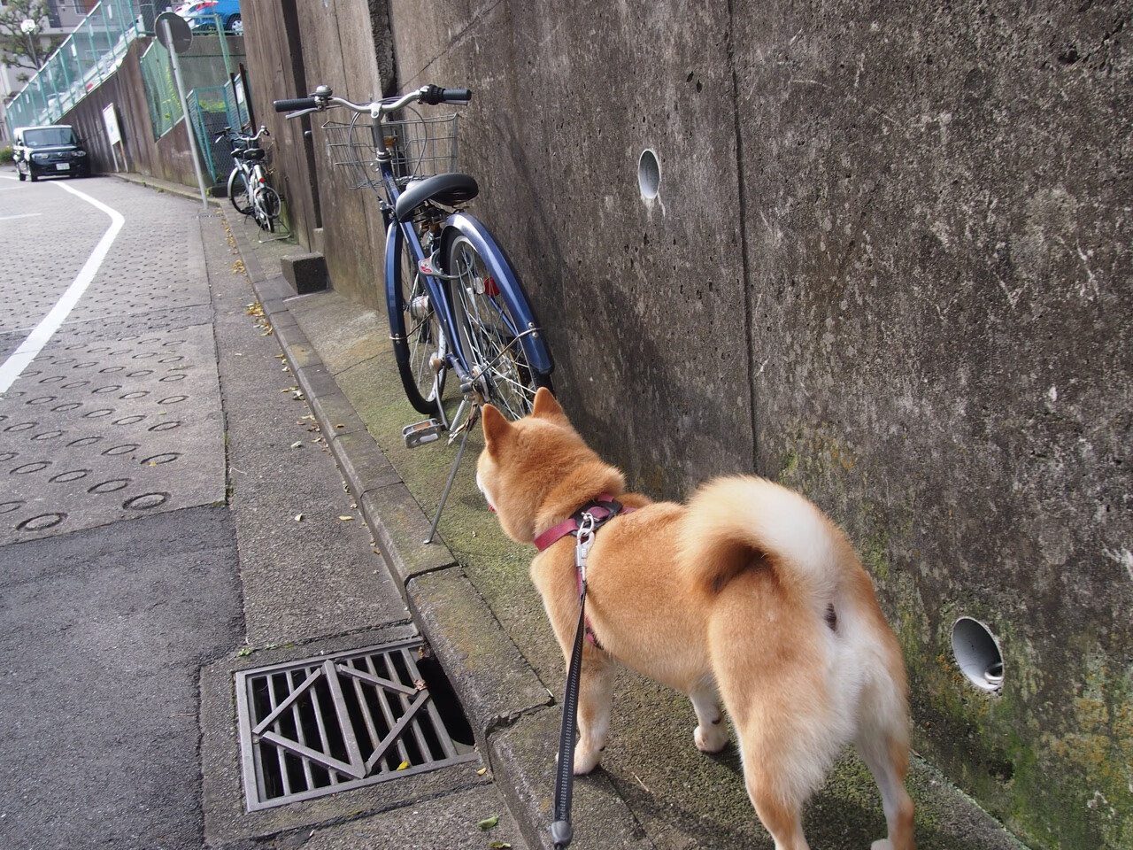 开云网站-欧洲杯逆转奇迹：战术变化，奇迹诞生！，欧洲杯奇迹再现