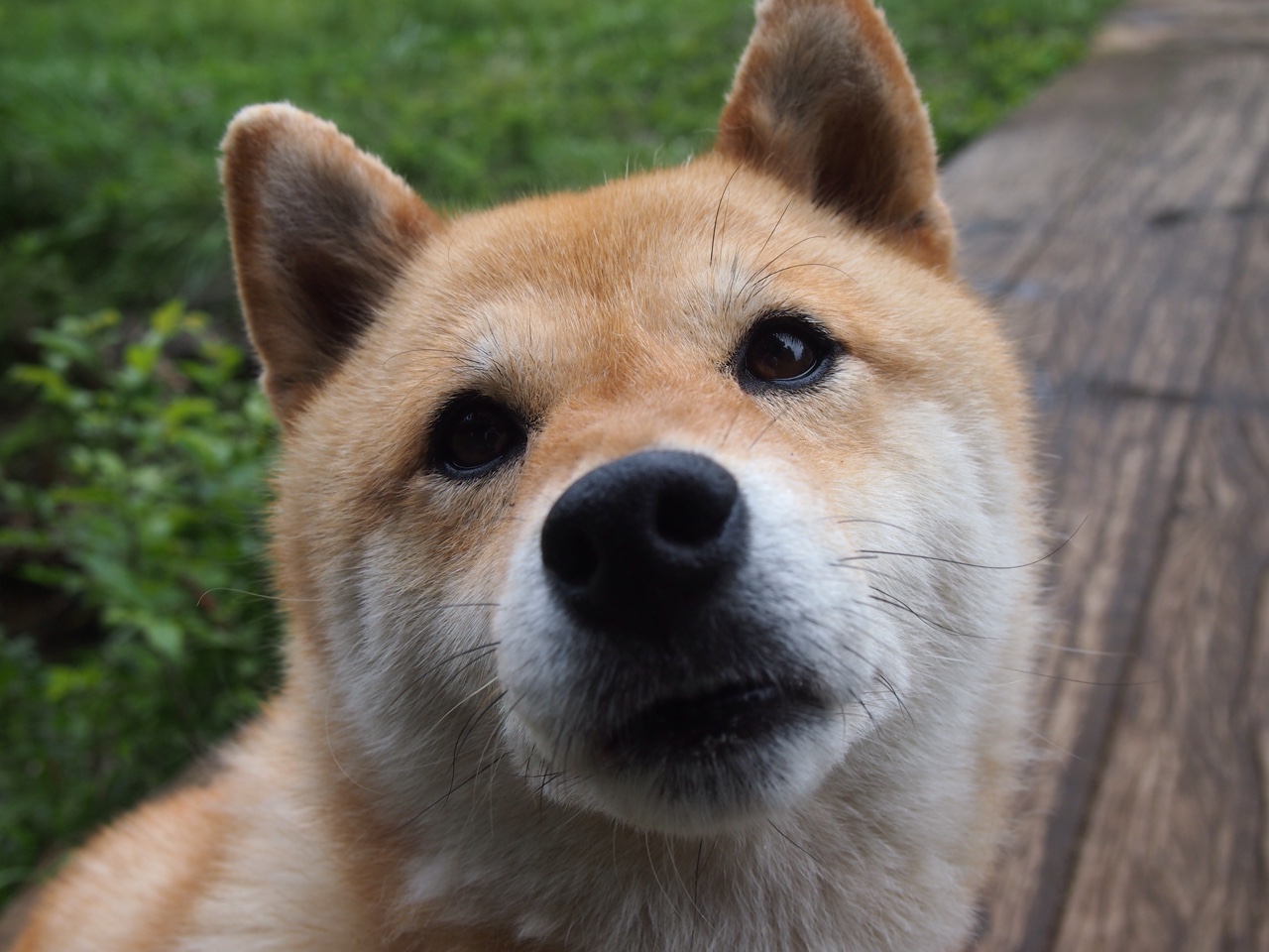 kaiyun中国官方网站-法甲联赛惊现冷门，摩纳哥爆冷击败巴黎