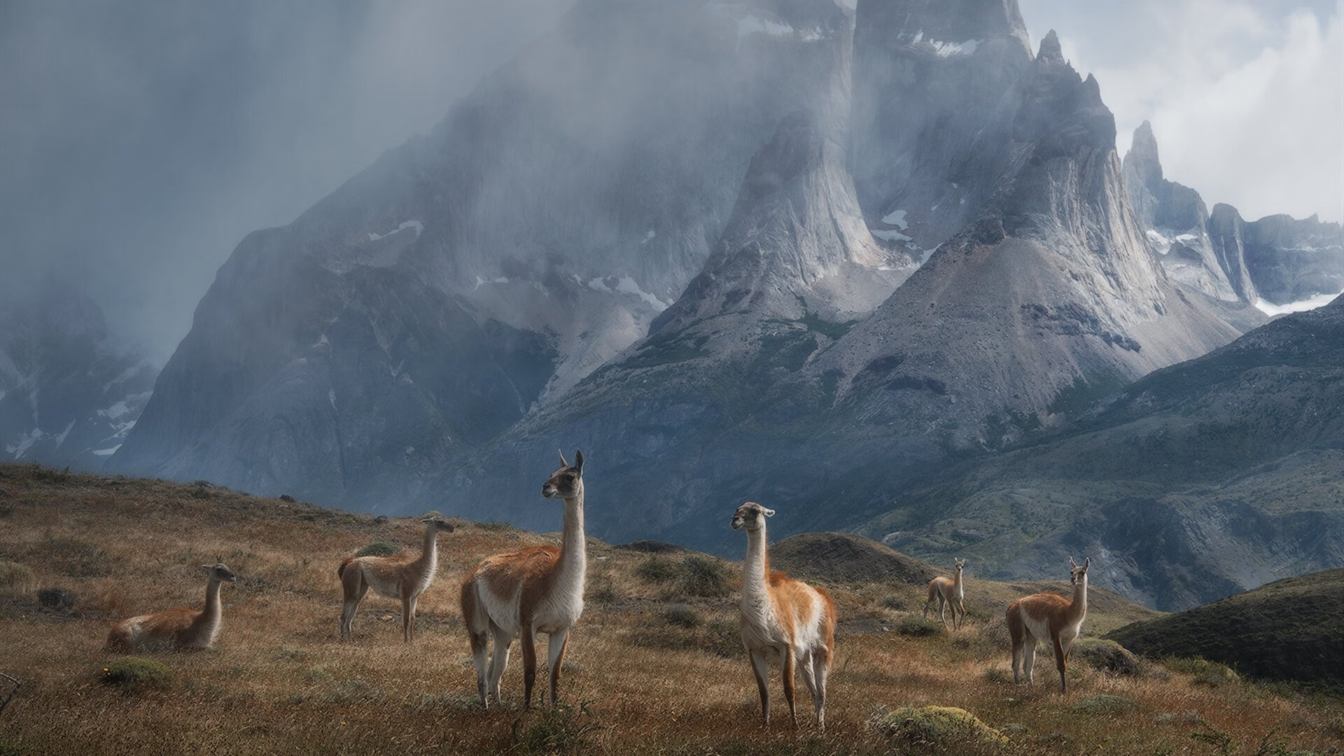 kaiyun中国官方网站-足球新媒体平台内容丰富,吸引大量年轻粉丝,足球新媒体运营